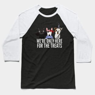 English Bull Terriers Halloween Trick or Treat Baseball T-Shirt